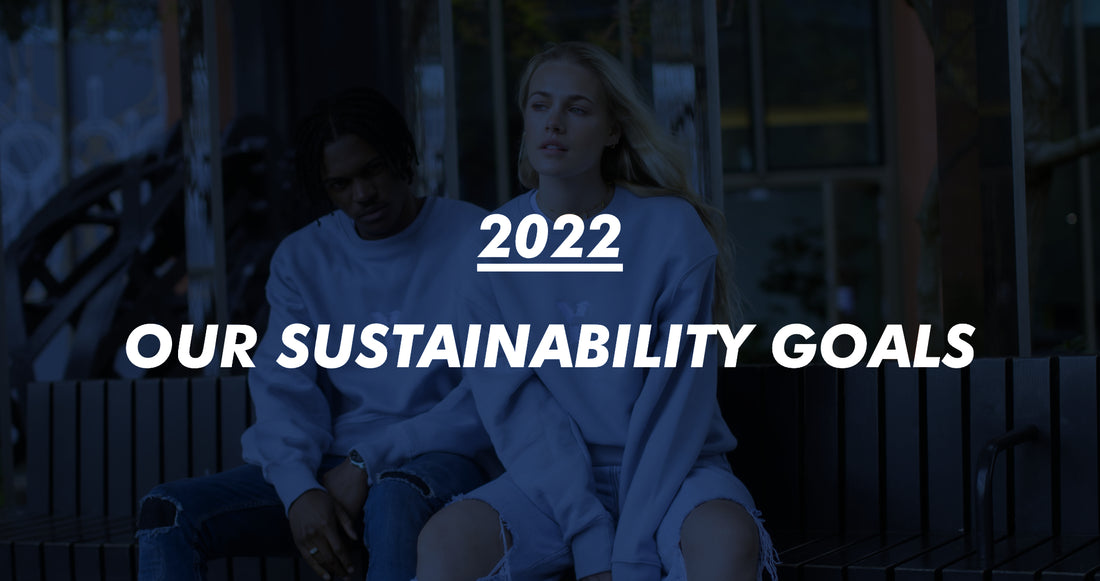 Our 2022 Sustainability goals